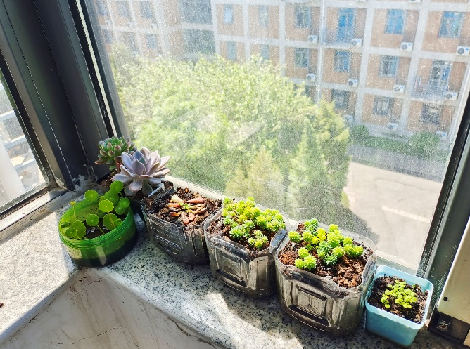 341b592cfba74e758ec8c34507cf2404.png image.png